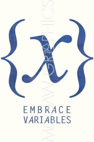 Embrace Variables by Urban Cricket 11"x14" Art Print Poster