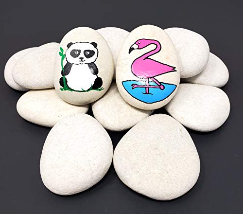 Capcouriers Rocks For Painting 20 Painting Rocks For Rock Painting About 2 - 2.25 inches