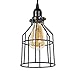 Rustic State Decorative Metal Cage Pendant Lamp by Rustic State with 15 Feet Toggle Switch Cord and Vintage Edison Light Bulb in Black