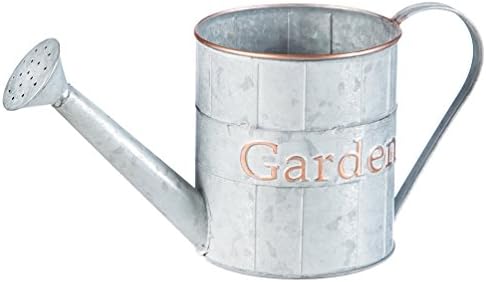 Metal Planter Watering Can Flower Pot Vintga Garden Container,Light Grey