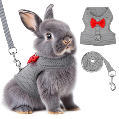 Prasacco Breathable Mesh Rabbit Leash