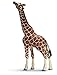 Schleich Eating Male Giraffe