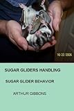 Sugar Gliders Handling: Sugar Glider Behavior