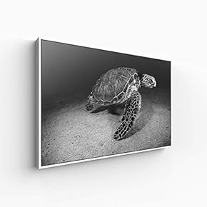 Canvas Wall Art for Living Room, Bedroom Animal Portrait Framed Canvas Prints for Home Decoration Ready to Hang - 16x24 inches