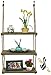 Hanging Wall Shelf - Wood Swing Storage Shelves - Jute Rope Organizer Rack - Rustic Home Decor Bookshelf - Window Plant Shelves - Floating Collectibles Display - Decorative Farmhouse Bookshelves