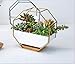 Hanging Geometric Wall Planter,6.89 Inch Modern Wall-Mounted Container Freestanding Desk Succulent Planter/Cactus Flower Pot for Succulents, Mini Cactusthumb 3