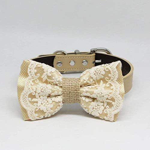 classy dog collars