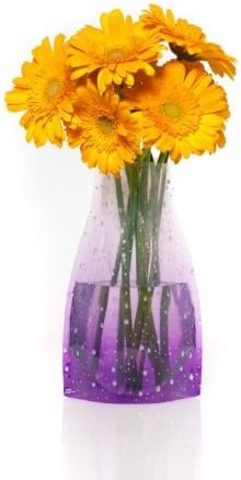 Reva Vase Greeting Card and Expanding Flower Vase (Droplets)