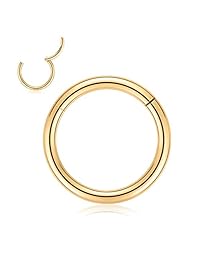 GAGABODY 16G G23 Titanium Hinged Clicker Segment Nose Hoop Ring Septum Piercing