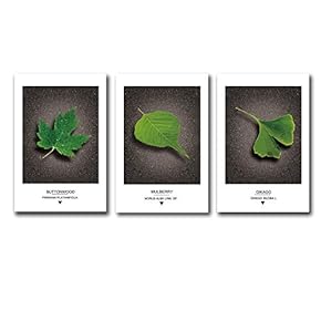 3 Panel Canvas Wall Art Green Leaf Canvas Prints Painting Wall Decor for Living Room Wooden Framed Home Decorations - 16"x24" x 3 Panels