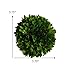 Mills Floral Company Boxwood Ball 4