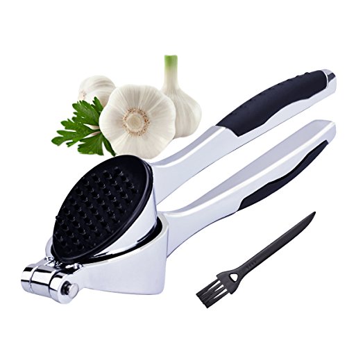 Garlic Press & Garlic Cleaning Brush - Stainless Steel Kitchen Garlic Tools - Garlic Keepers Innovative Oblique Holes and Pressure Garlic Opposite Inverted Thimble Design