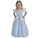 Little Adventures Cinderella Princess Dress Up Costume for Girls