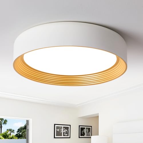 Suenigle LED Flush Mount Ceiling Light Fixture