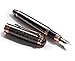 F. Salvatore Fountain Pen Medium Metal Nib Pen and Ink Refill Converter | Excellent Writing and Calligraphy Instrument | Gun Metal Black and Rose Gold Trim and Elegant Design