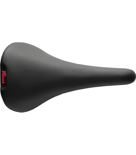Amazon.com : Selle Italia Saddle FLITE 1990 NJS Embroidery
