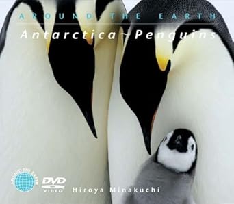 Amazon Com 南極 ペンギン Dvd Movies Tv
