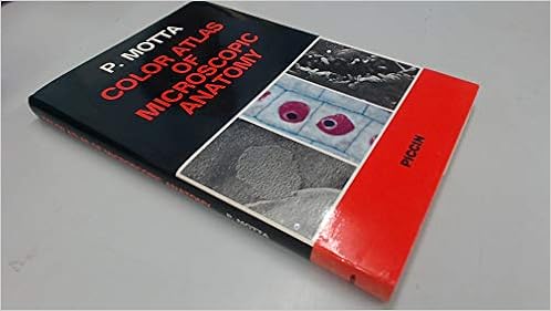 Colour Atlas Of Microscopic Anatomy Atlas Of Light And Electron Microscopy Amazon Co Uk Motta P Books