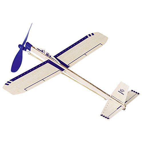 Goki"Eagle Jet Glider