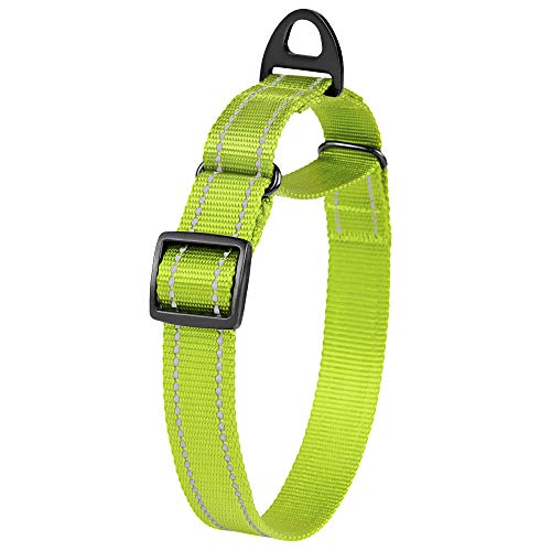 Collardirect Reflective Martingale Dog Collar Nylon Training Collars