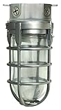 Woods L1706BS Vandal Resistant 150W Incandescent Security Light, Ceiling Mount, Brushed Steel (Tools &amp; Home Improvement)