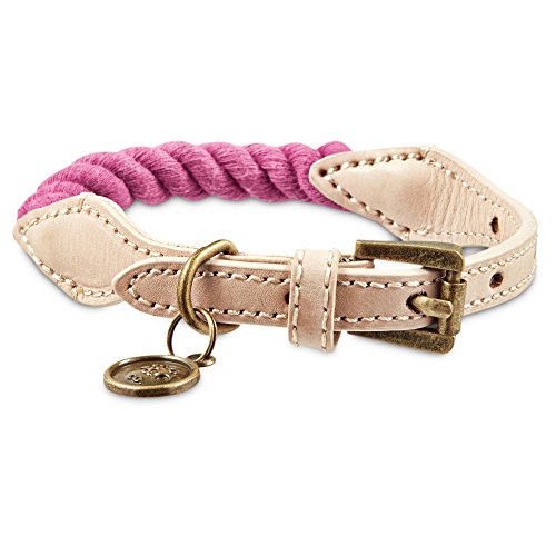 bond and co dog collar