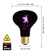 FIVEAGE 100W Night Heat Lamp Heating Infrared Bulb, Moonlight Pet Light UVA Spot Lamp for Reptile and Amphibian Use - Lizard Tortoise Spider Snake Chameleon 2 Pack