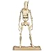 Star Wars 2012 Saga Movie Legends Action Figure Battle Droid