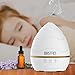 91District 300ml Ultrasonic Essential Oil Diffuser Humidifier, Electric Mini Cool Mist Aromatherapy Air Freshener - Touch Button, Whisper Quiet, Auto Shut-off, 7 Colors changing LED Light