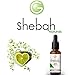 Shebah Naturals 20% Vitamin C Serum