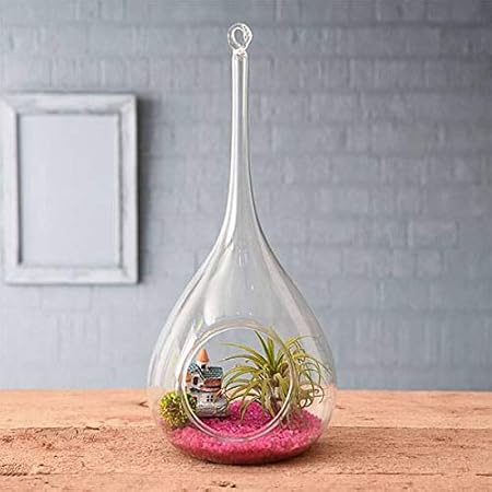 UHD Glass Hanging Planter Tear Drop Shape, Rain Drop Hanging Terrarium for Indoor Garden, Bird Nest Long Hanging Hook (Set of 2)
