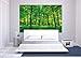 Photo Wallpaper – Summer Trees – Picture Decoration Nature Landscape Forest Glade Sunbeams Garden Plants Ferns Recreation Park Image Decor Wall Mural (82.7x55.1in - 210x140cm)