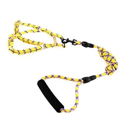 Amazoncom Edealmax Nylon Marche Réglable Corde Puppy