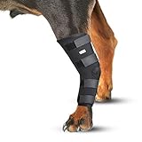 IN HAND Leg Brace for Dogs, Pair of Dog Canine Rear Leg Hock Joint Wraps Protects Wounds As They Heal Compression Brace Heals, Prevents Injuries and Sprains, Dog Rear Leg Hock
