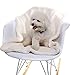EXPAWLORER 2 PCS Soft Fleece Puppy Blankets for Dogs and Cats - Pet Warm Blankets for Bed, Couch in Cold Weather, Rice White & Coffee 29.5‘’ x 23.6''
