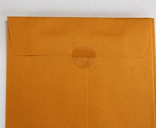 Clear Circle Seal Stickers 1 in Clear Round Labels 1000/roll Great as Envelope Seals, Newsletter mailing Seals, Clear Circle Labels or Other uses Where Wafer Seals or Clear Circle Stickers are Needed