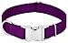 Country Brook Petz – Premium Nylon Dog Collar with Metal Buckle – Vibrant 22 Color Selection (Large, 1 Inch Wide)thumb 2
