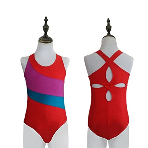 Rucan Toddler Baby Girls Leotards Ballet Playsuit Dancewear Gymnastics Classic Outfits (D, 18-24 Months)