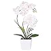 FANStek 2AA LED Lighted Artificial Orchid Arrangement-Battery Operated Orchid Pot with 9 Lights (White)