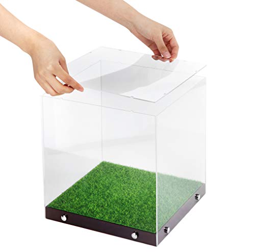 image for JACKCUBE DESIGN - Soccer Ball Display Case - Clear storage for balls, 
