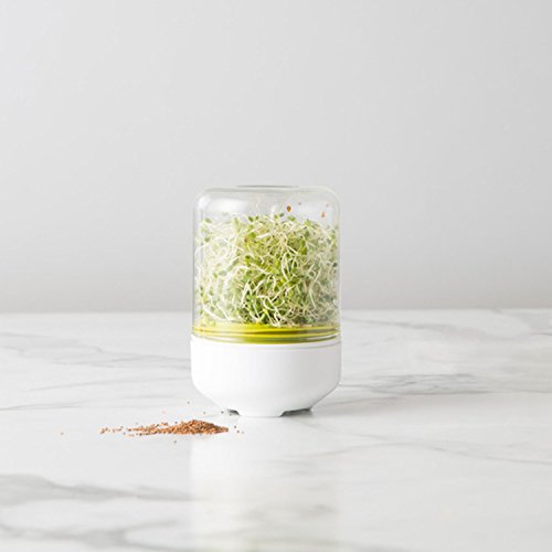 Chef'n 102-742-390 Countertop Sprouter Growing Kit, One Size, Backing White/Wasabi/Glass