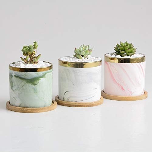 3.3 Inch Succulent Plant Pots Cylindrical Ceramic Planter for Cactus Plants, Marbling Color Pot with Drainage Hole Golden Circle, Bamboo Tray Perfect Gift Set of 3, Indoor Middle Planting