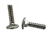 Stainless 1/4-20 x 1" Carriage Bolt (3/4" to 5" Lengths Available in Listing), 18-8 Stainless Steel,50 Pieces (1/4-20x1) primary