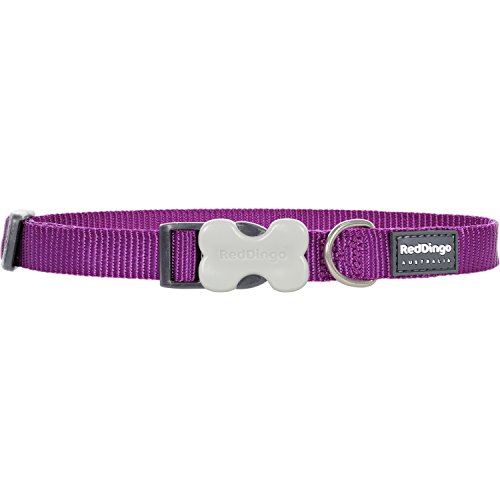 Red Dingo Classic Dog Collar, Small, Purple