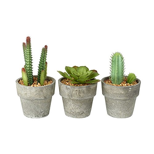 BUZZ SET OF 3 Miniature Artificial Succulent/Cactus Houseplant in Grey Plant Pot with Pebble Detail
