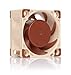 Noctua NF-A4x20 FLX, Premium Quiet Fan, 3-Pin (40x20mm, Brown) primary