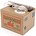 Peradix Stealing Coin Cat Box Kitty Piggy Bank, Automatic Stealing Money Bank Saving Box Gift for Toddlers Children(White)