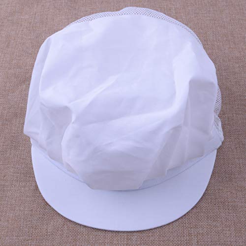 Jahome Women Mesh Industrial Anti-Dust Workshop Hats Kitchen Canteen Food Hat Chef Hair Net (White2 Pcs)