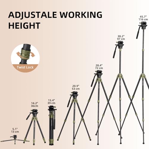 Cayer CH10L Carbon Fiber Tripod with Mini Fluid Head S1, 28" Compact Desktop Tripod for Mirrorless Cameras Camcorder Mobile Phone Webcam
