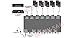 5-Zone Stereo Speaker Distribution Controller with Banana Plugs